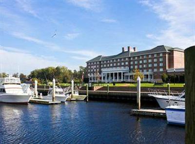 фото отеля Hilton Garden Inn Suffolk