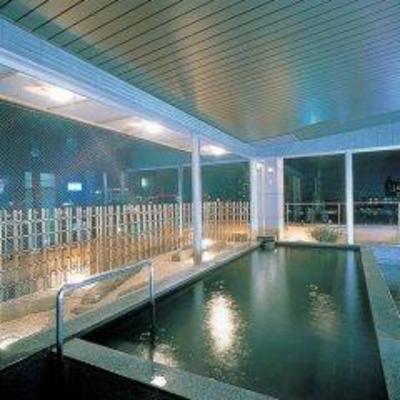 фото отеля Notsu Ryokan