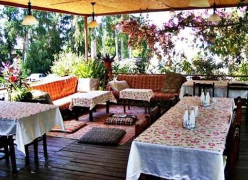 фото отеля Eucalyptus Pension