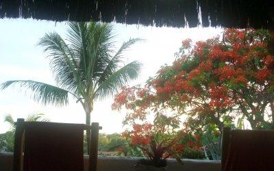 фото отеля Pousada Jardim Bromelias