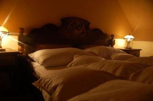фото отеля Pension Casa Cu Flori