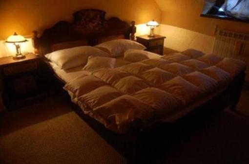 фото отеля Pension Casa Cu Flori