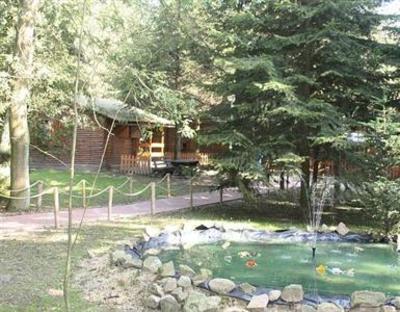 фото отеля River Park
