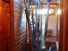 фото отеля Hosteria Hueney Ruca