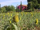 фото отеля Locanda Le Mandriane Farmhouse Orbetello