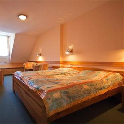 фото отеля Hotel Junior Jasna