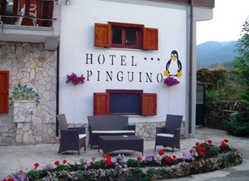 фото отеля Hotel Pinguino