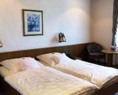 фото отеля Hotel Zum Schwanen Olpe