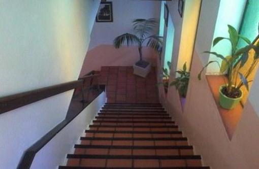 фото отеля Hotel Cavalinho Branco
