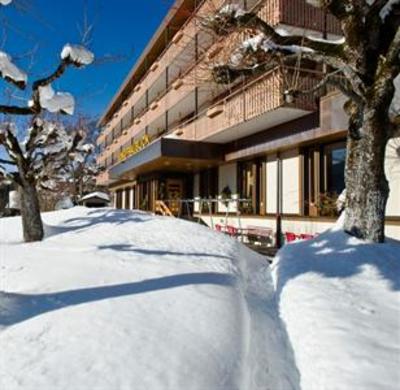 фото отеля Jungfraublick Hotel Wengen