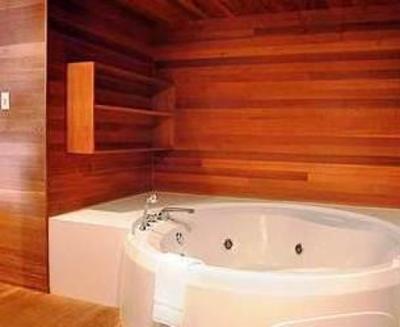 фото отеля Mountainside Luxury Resort