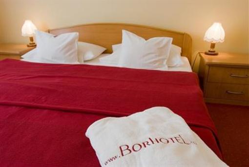 фото отеля Borhotel