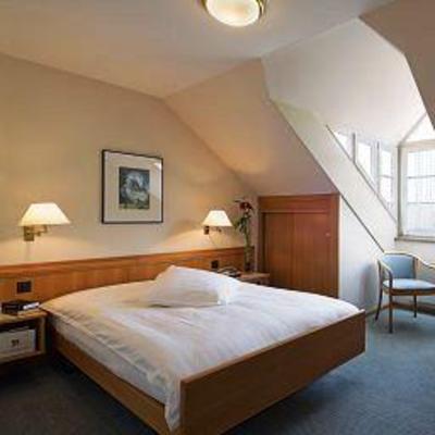 фото отеля Hotel Gasthof zum Ochsen - Arlesheim