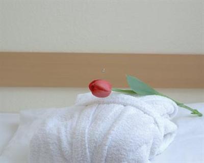 фото отеля BEST WESTERN PLUS Hotel Leipziger Hof