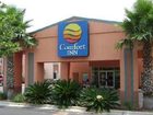 фото отеля Comfort Inn Pensacola - Pine Forest