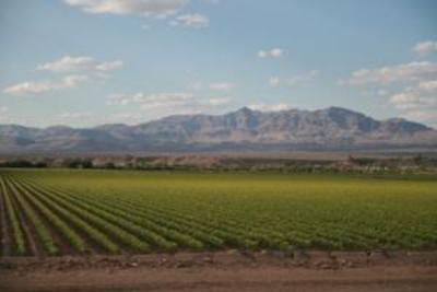 фото отеля BEST WESTERN Desert Inn