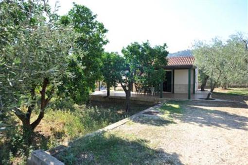 фото отеля Case Vacanze L'Uliveto
