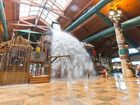 фото отеля Great Wolf Lodge Williamsburg (Virginia)