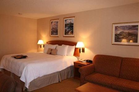 фото отеля Hampton Inn Castle Rock