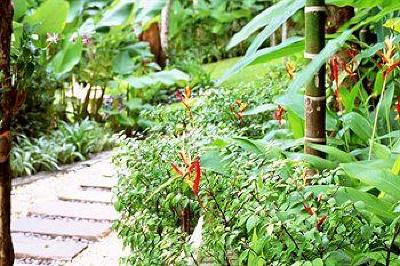 фото отеля Racha Kiri Resort & Spa