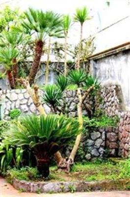 фото отеля Gocce Di Capri Hotel & Serviced Residence
