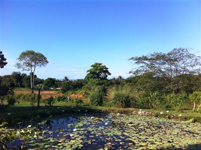 фото отеля Nibbana Resort