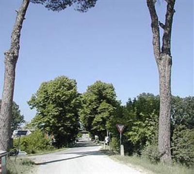 фото отеля Agriturismo San Fabiano