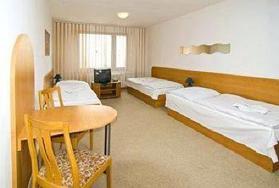 фото отеля Hotel Arnost Garni