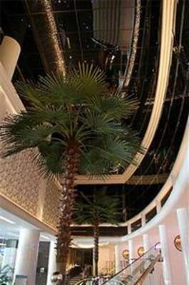 фото отеля Ocean Hotel