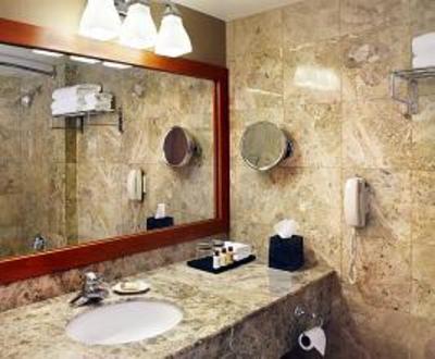 фото отеля Sheraton Laval Hotel