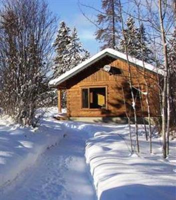 фото отеля Mica Mountain Lodge & Log Cabins