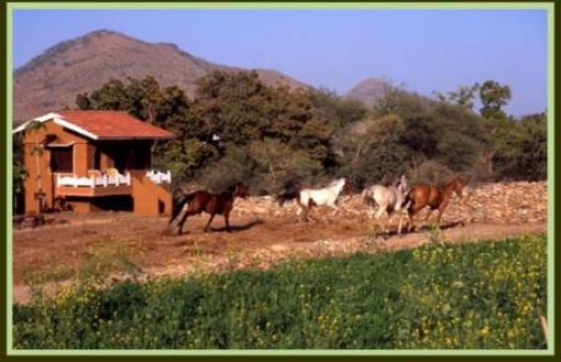 фото отеля Krishna Ranch