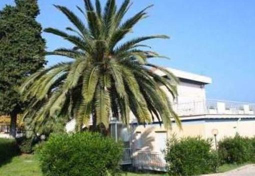 фото отеля Apartment - Ortona
