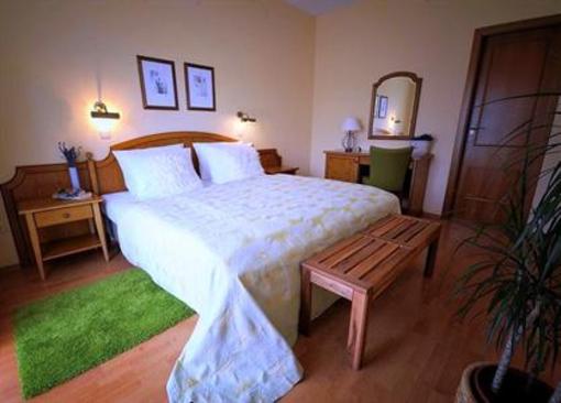 фото отеля Hotel Tematin
