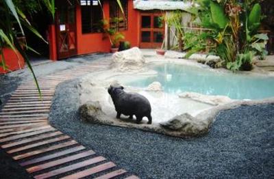 фото отеля Wildebees Ecolodge