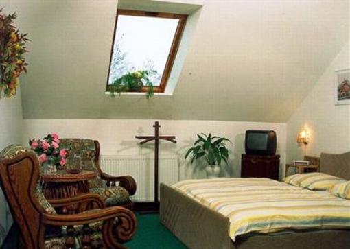 фото отеля Hotel Cesky Dum