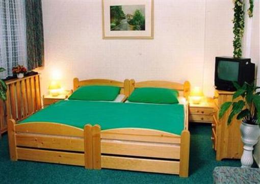 фото отеля Hotel Cesky Dum
