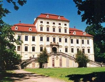 фото отеля Hotel Cesky Dum