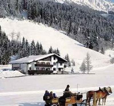 фото отеля Hotel Landhaus Laerchenhof