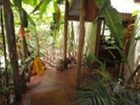фото отеля Daintree Rainforest Retreat