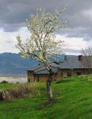фото отеля Apartamentos Rural Medulas