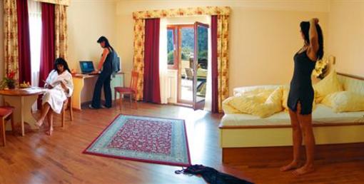 фото отеля Hotel Erlenhof Kotschach-Mauthen
