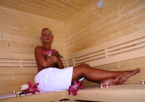 фото отеля Spa & Wellness Hotel Harmonie