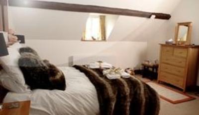 фото отеля Rhandregynwen Hall Bed and Breakfast Llanymynech