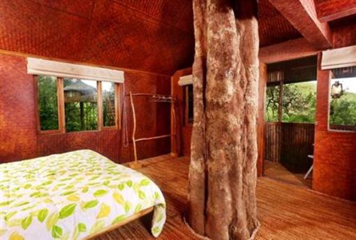 фото отеля Nature Zone Jungle Resort