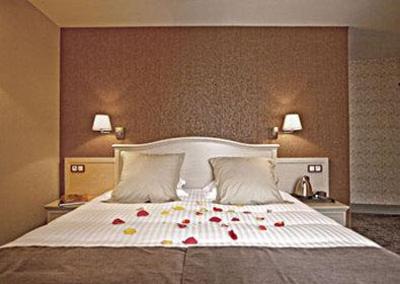 фото отеля Best Western Le Duguesclin Hotel Saint-Brieuc