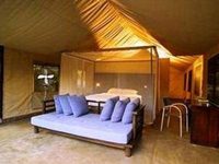 Honeyguide Tented Safari Camps Manyeleti Game Reserve