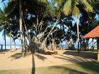 фото отеля Hotel Hibiscus Beach