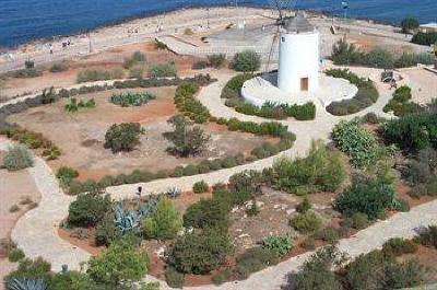 фото отеля Hotel Neptuno Ibiza