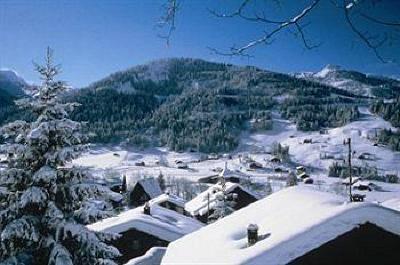 фото отеля Eurotel Victoria Hotel Les Diablerets